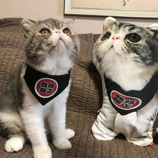 Custom Cat Shaped Pillow Pet Photo Pillow