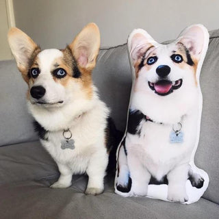 Custom Pet Pillow Dog Pillow with Picture on