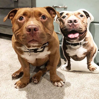 Custom Shaped Pillow of Your Dog Pet Photo Pillows