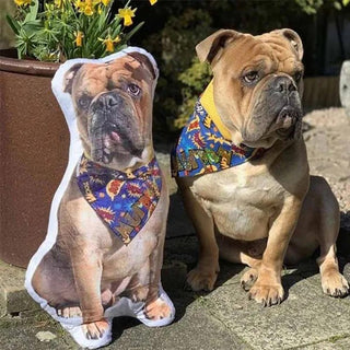 Dog Picture Pillow Custom Dog Pillow Cushion