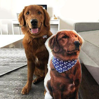 Personalized Dog Pillows Shaped Pillows with Pet Photo