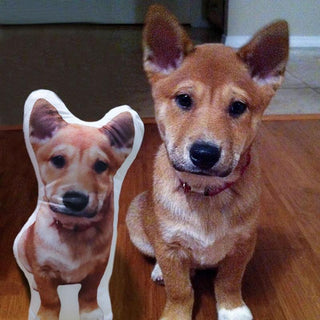 Pet Pillows with Your Dog Picture Custom Dog Shaped Pillow