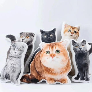 Turn Your Pet into A Pillow | Custom Pet Pillows
