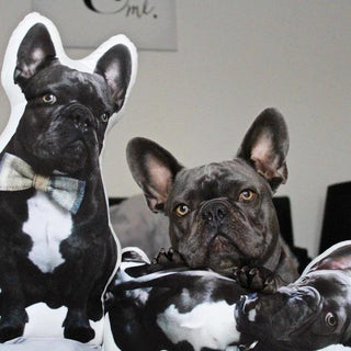 Create a Pillow of Your Dog | Your Dog on Pillows