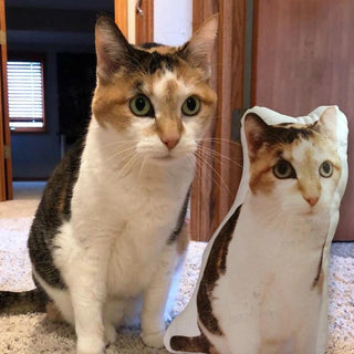 Custom Cat Pillow Custom Pet Shaped Photo Pillow