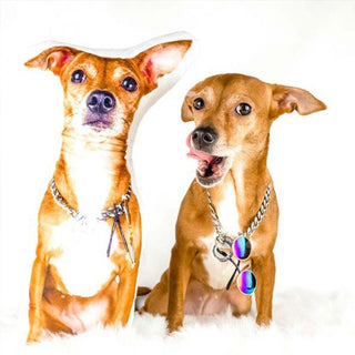 Custom Dog Picture Pillow Dog Shaped Pillow Cushion Gift