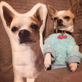Custom Pet Photo Pillow Personalized Dog Shape Pillow