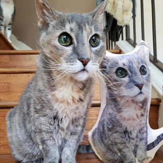 Customized Cat Pillow Photo Pillows of Cats