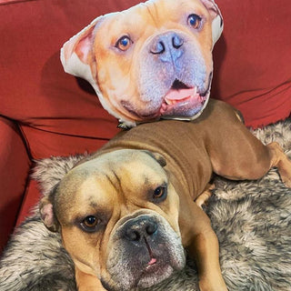 Dog Face Pillow Custom Dog Pillow from Photo