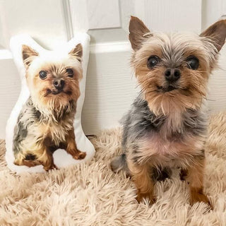 Dog Pillows Peronalized Dog Gifts Pillow of Your Dog