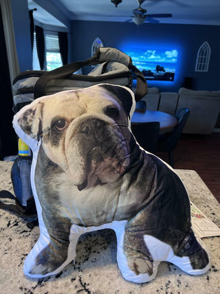 Custom Dog Pillows Pet Shaped Pillow from Photo