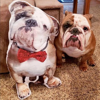 Personalized Dog Pillows Customized Photo Pillows