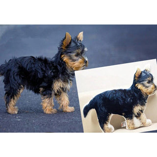 Turn Your Dog into a Pillow | Pet Pillows from Pictures