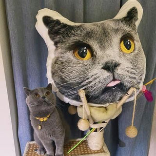 Turn Your Pet into A Pillow Cat Face Pillows